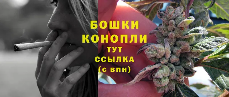 Конопля OG Kush  где купить наркотик  Иланский 